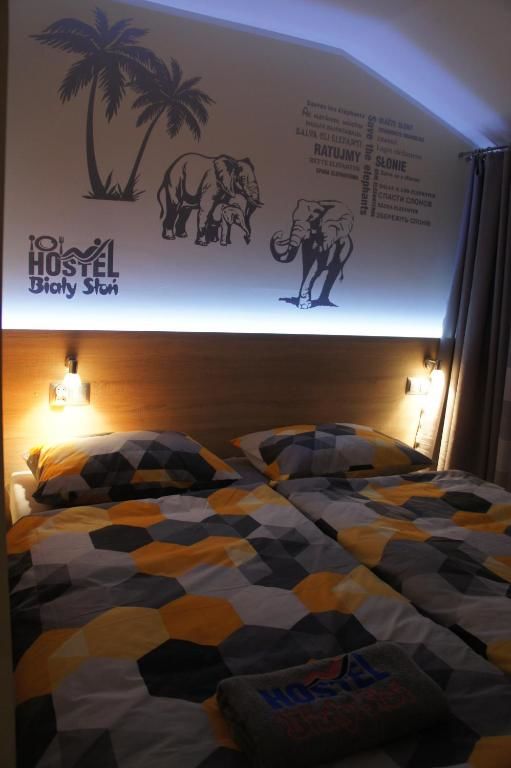 Хостелы Hostel Biały Słoń Гдыня-50